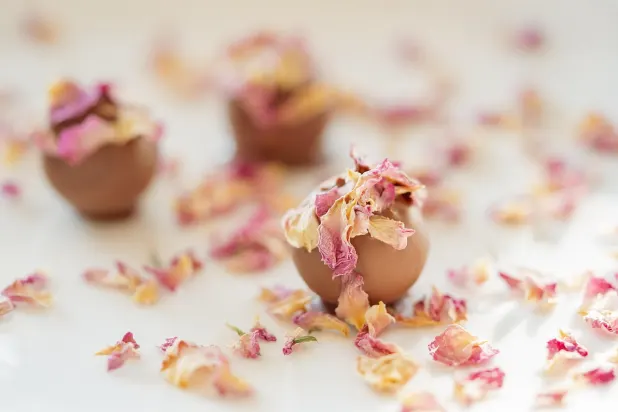 Tusk Kasino Android/iOS Sovellus